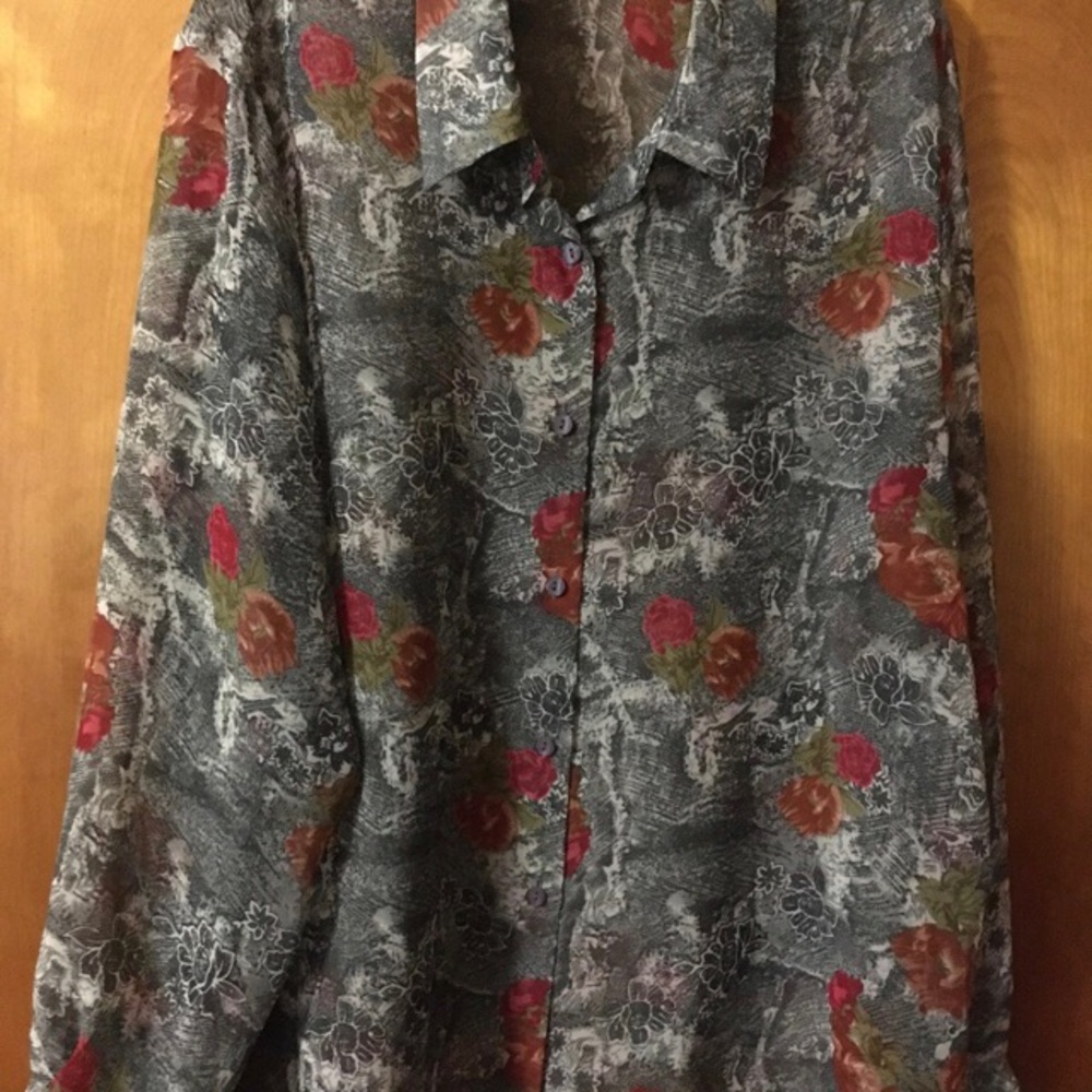 Sheer Button Front Blouse